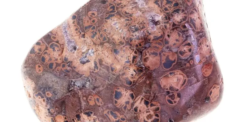 leopard skin jasper stone meaning